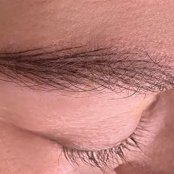 Micropigmentación de cejas Sevilla