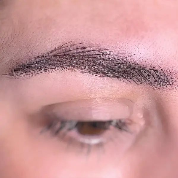 Micropigmentación de cejas Sevilla