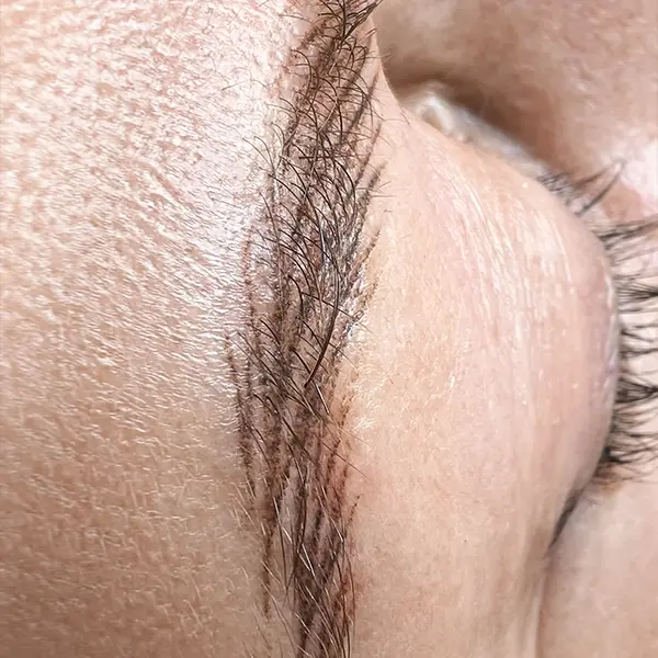 Micropigmentación de cejas Sevilla