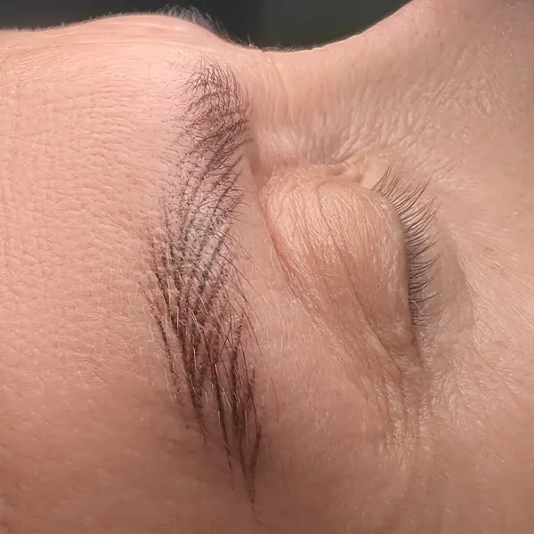 Micropigmentación de cejas Sevilla