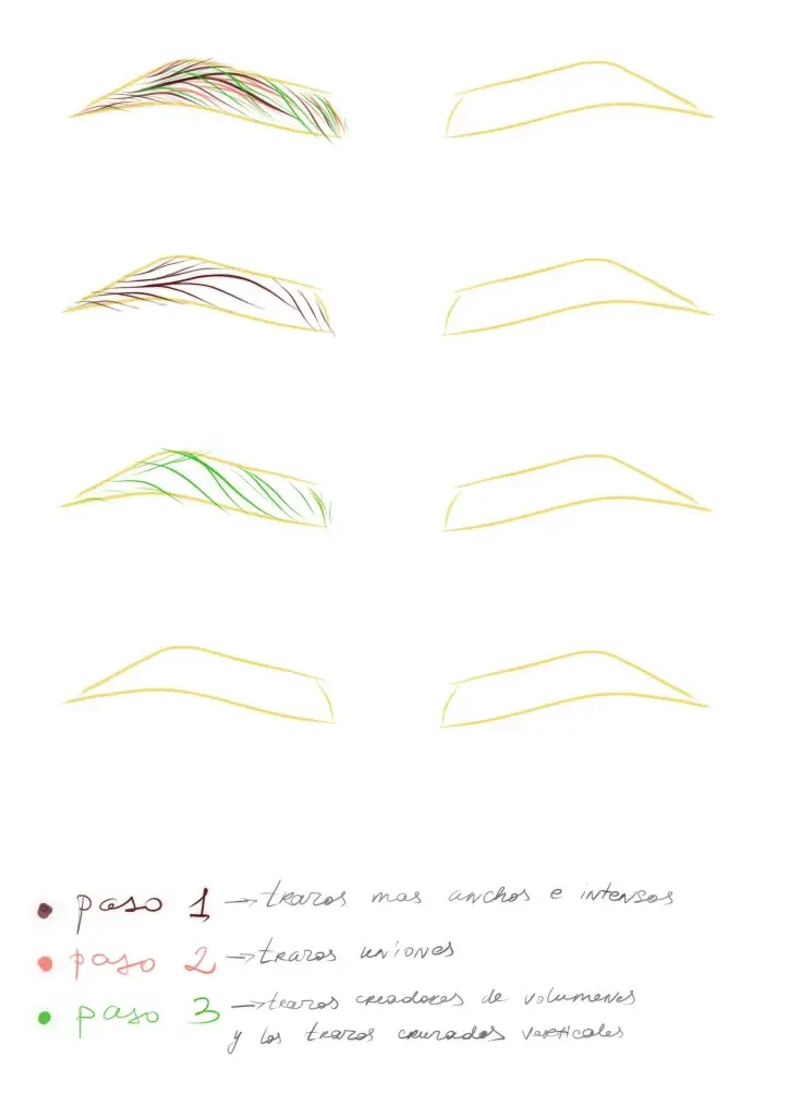 Paso a paso de técnica pelo a pelo micropigmentación